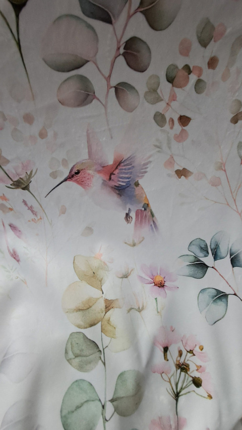 KOLIBRY NA WELWECIE