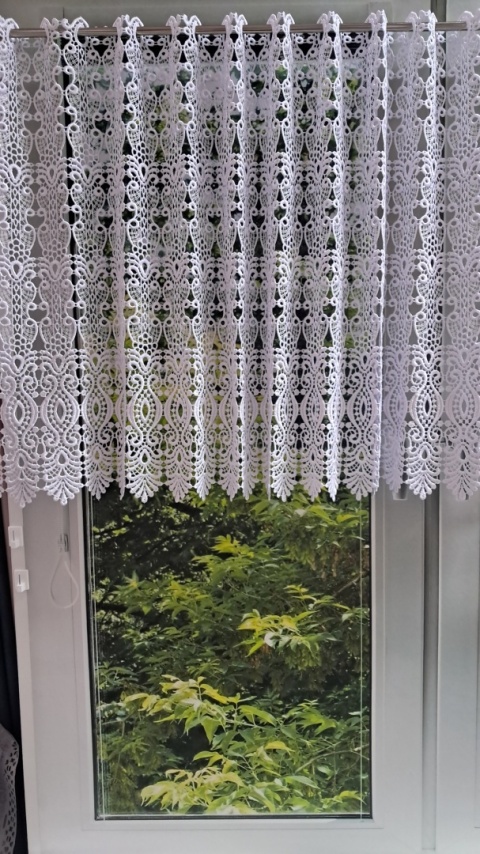 ZAZDROSTKA GIPIUROWA WYSOKOŚĆ 40 CM