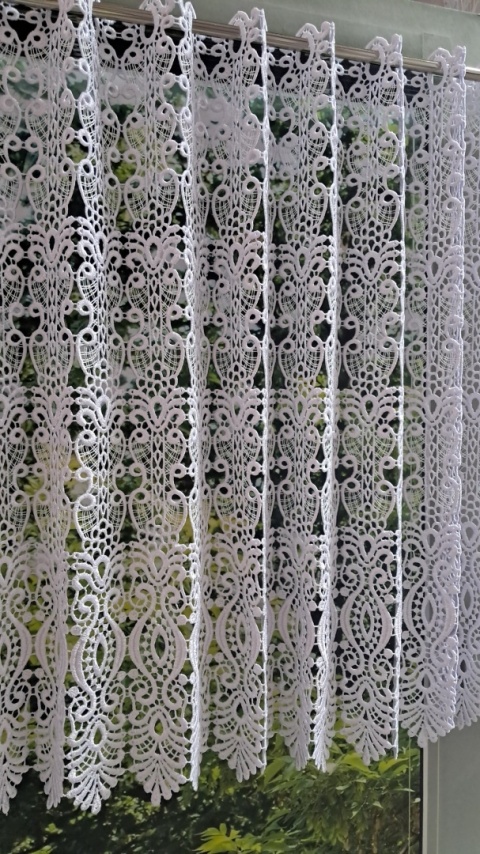 ZAZDROSTKA GIPIUROWA WYSOKOŚĆ 60 CM