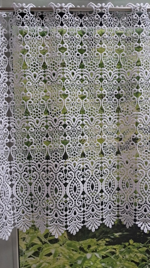 ZAZDROSTKA GIPIUROWA WYSOKOŚĆ 60 CM