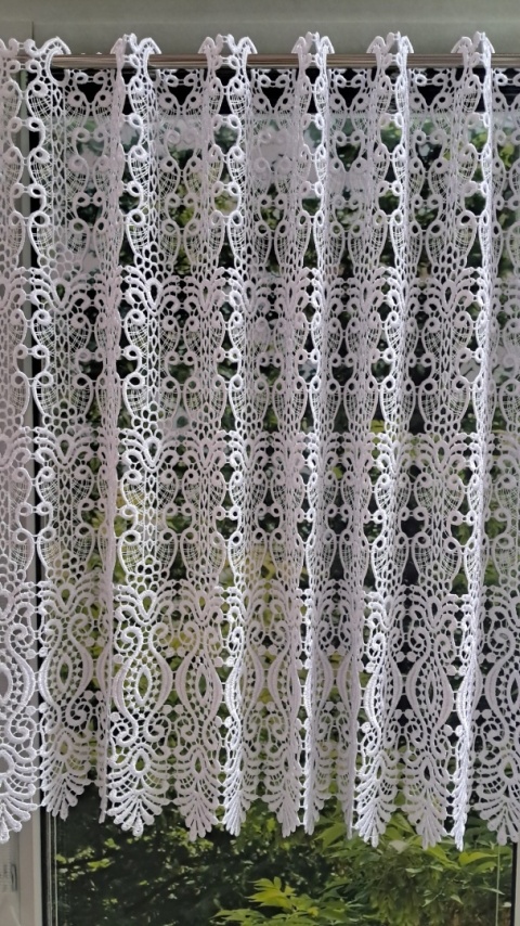 ZAZDROSTKA GIPIUROWA WYSOKOŚĆ 60 CM